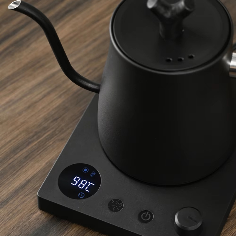 Bollitore Elettrico a Collo d' - Electric Kettle Temperature Control recensione e prezzo